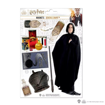 harry-potter-szivacs-mágnes-piton