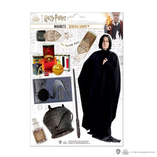 harry-potter-szivacs-mágnes-piton