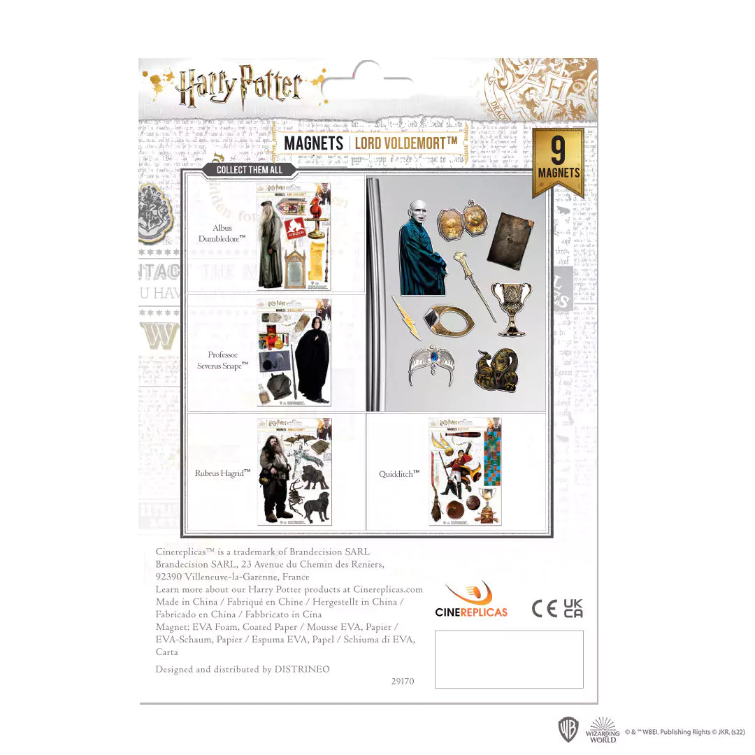 harry-potter-szivacs-mágnes-voldemort-hátulja
